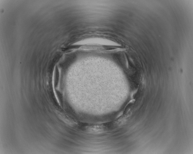 X0000065260567200603131205