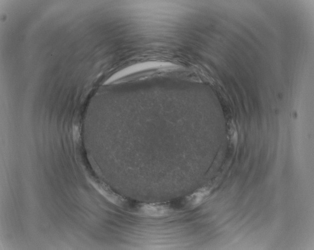 X0000065260568200603131205