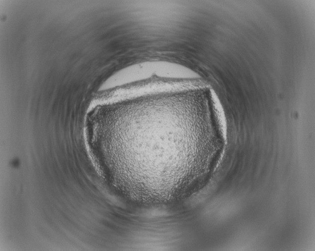 X0000065260569200603131205