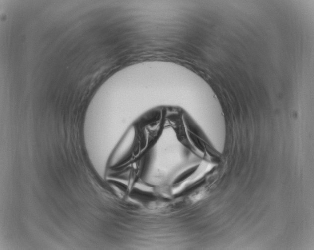 X0000065260570200603131205