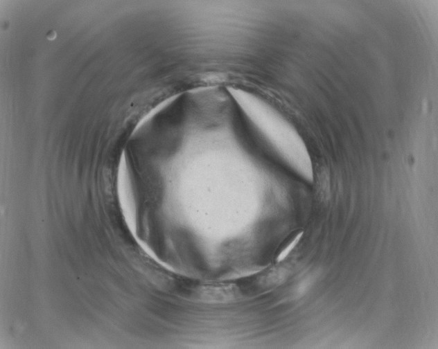 X0000065260571200603131205