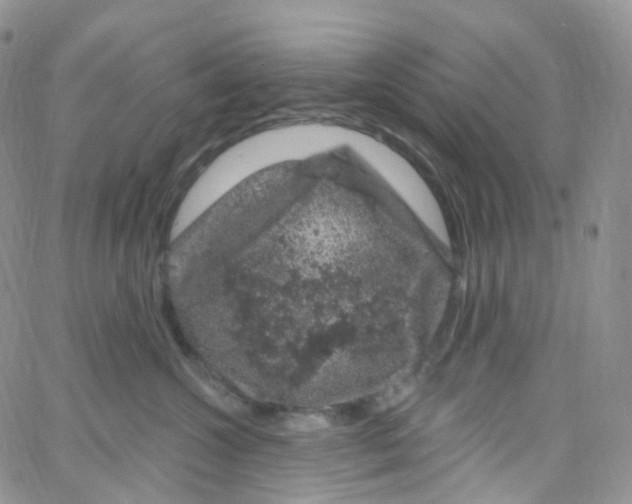 X0000065260572200603131205