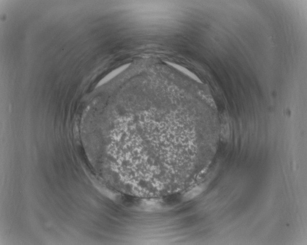 X0000065260573200603131205