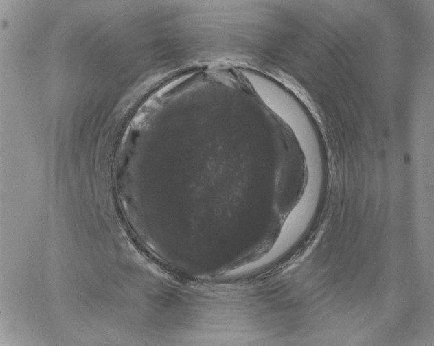 X0000065260577200603131205