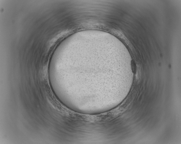 X0000065260579200603131205