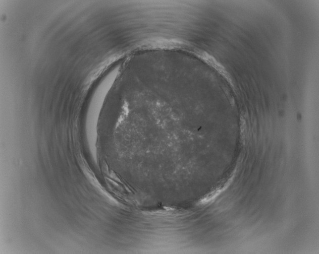 X0000065260581200603131204