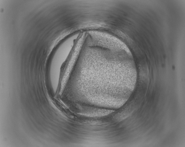 X0000065260582200603131204