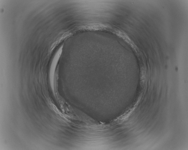 X0000065260585200603131204