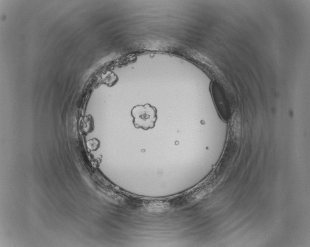 X0000065260587200603131204