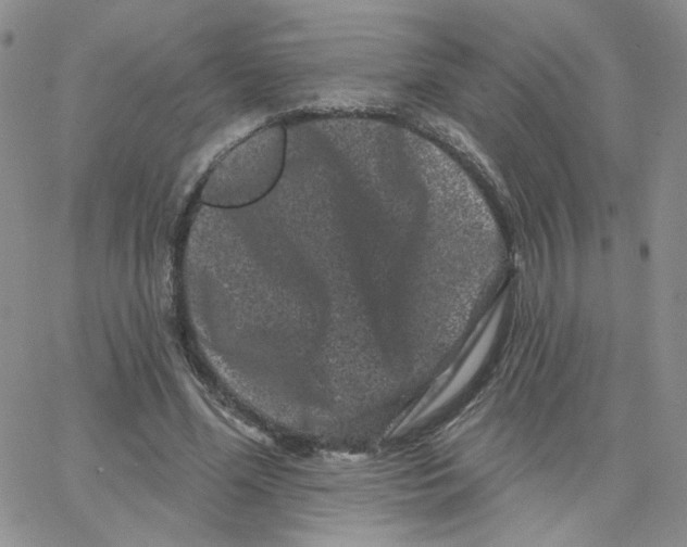 X0000065260588200603131204