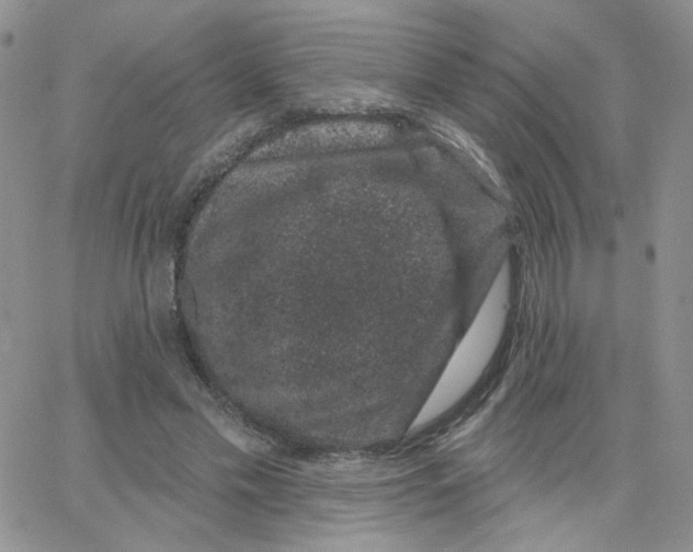 X0000065260589200603131204