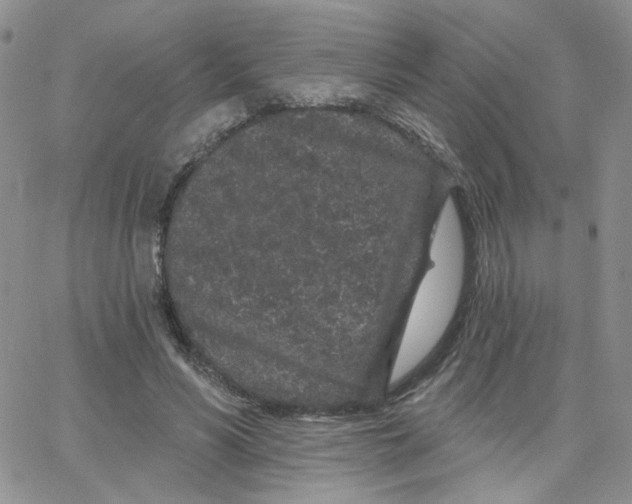 X0000065260590200603131204