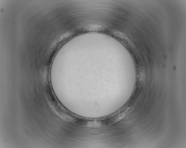 X0000065260591200603131204