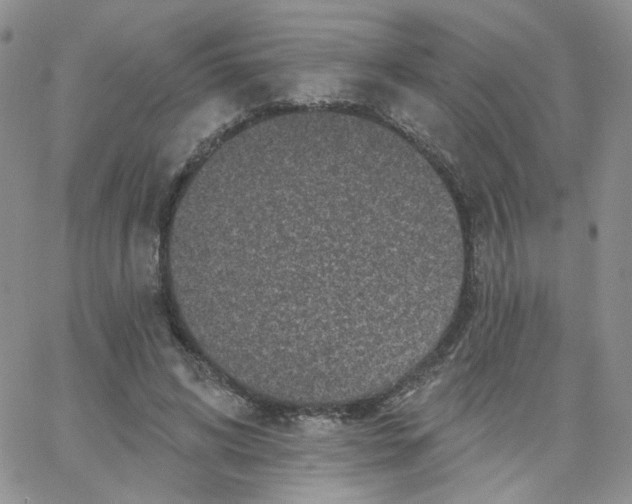 X0000065260592200603131204