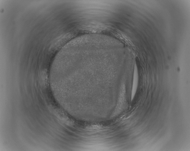 X0000065260594200603131204