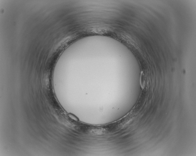 X0000065260595200603131204