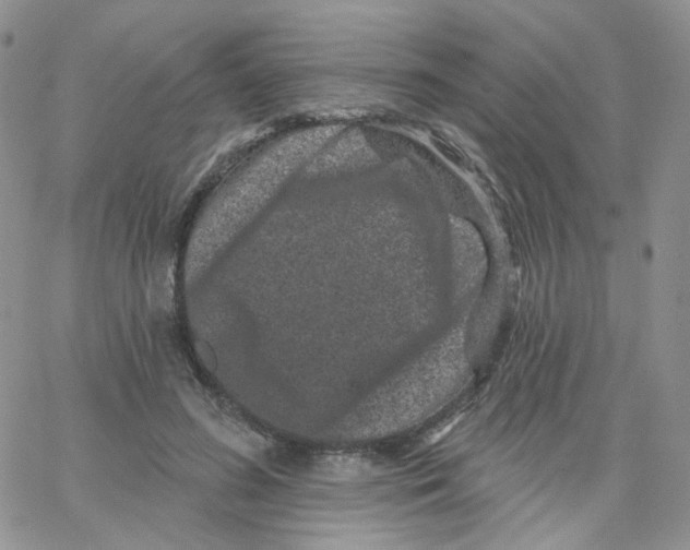 X0000065260596200603131204