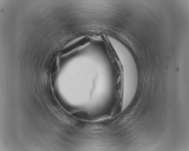 X0000065260597200603131204