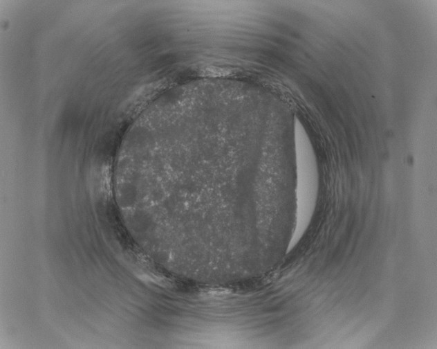 X0000065260598200603131204