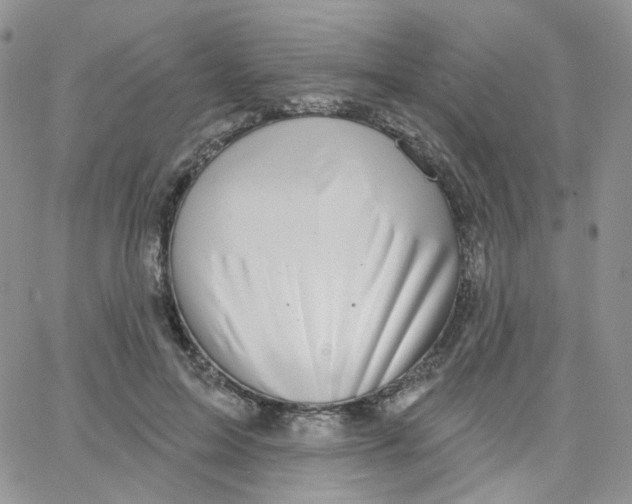 X0000065260599200603131204