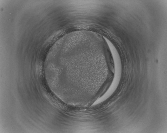 X0000065260600200603131204