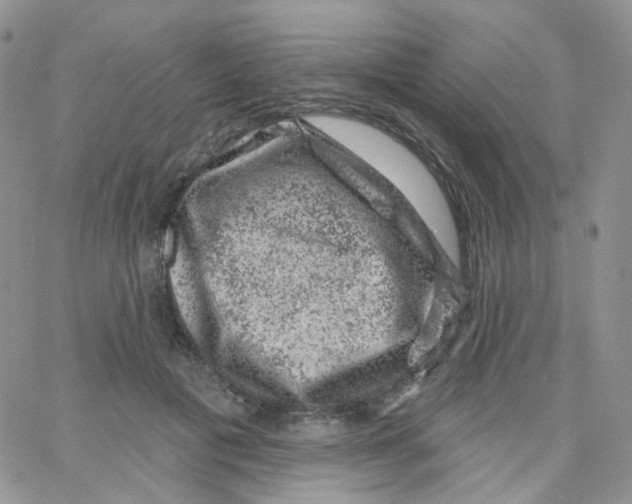 X0000065260601200603131204