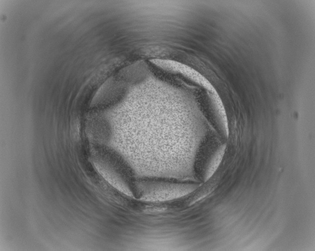 X0000065260602200603131204