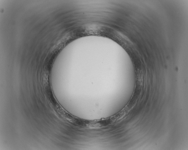 X0000065260603200603131204