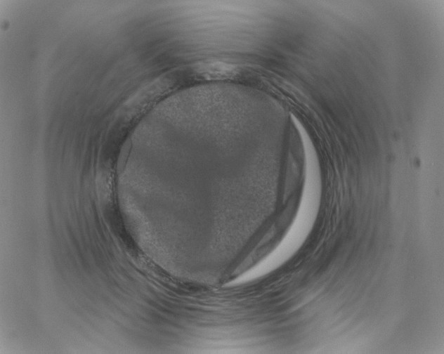 X0000065260604200603131204