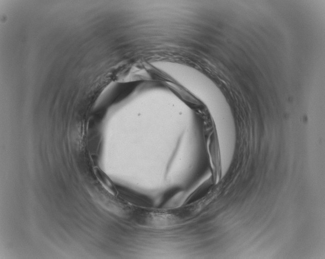 X0000065260605200603131204