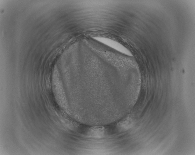 X0000065260606200603131204