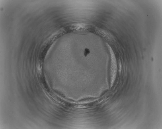 X0000065260607200603131204