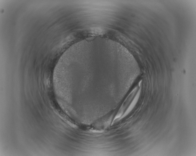 X0000065260608200603131204