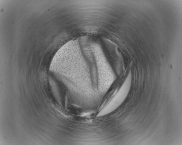 X0000065260609200603131204