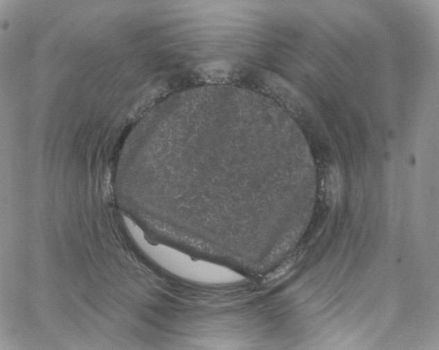 X0000065260610200603131204