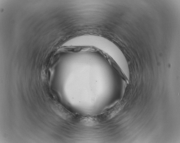 X0000065260611200603131204