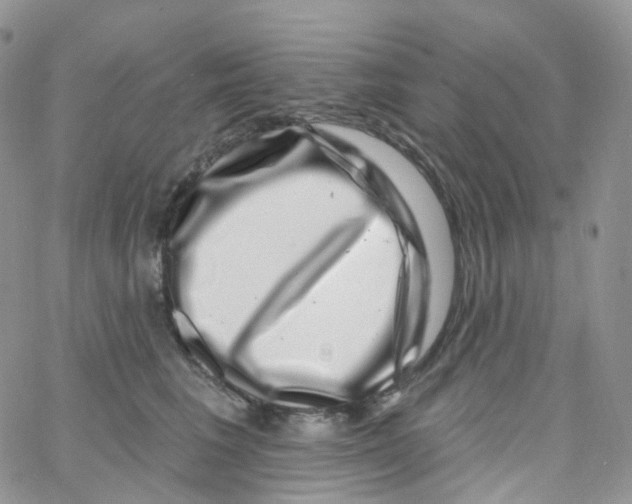 X0000065260613200603131204