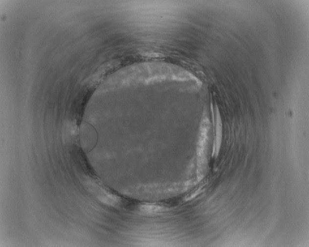 X0000065260614200603131204