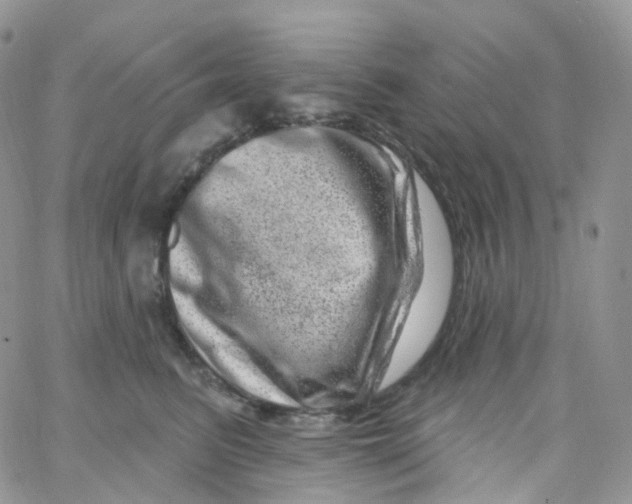 X0000065260615200603131204