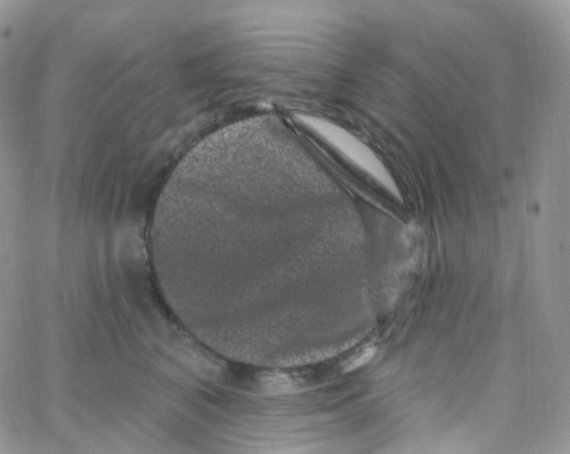 X0000065260616200603131204