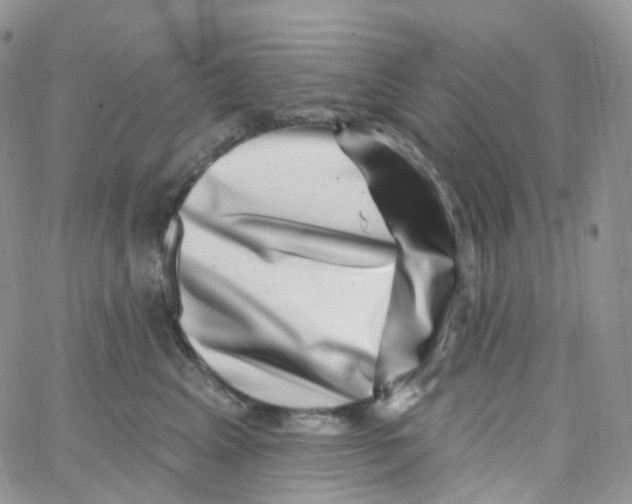 X0000065260617200603131204