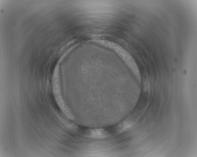 X0000065260618200603131204