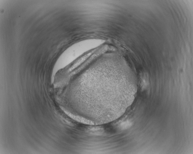 X0000065260619200603131204