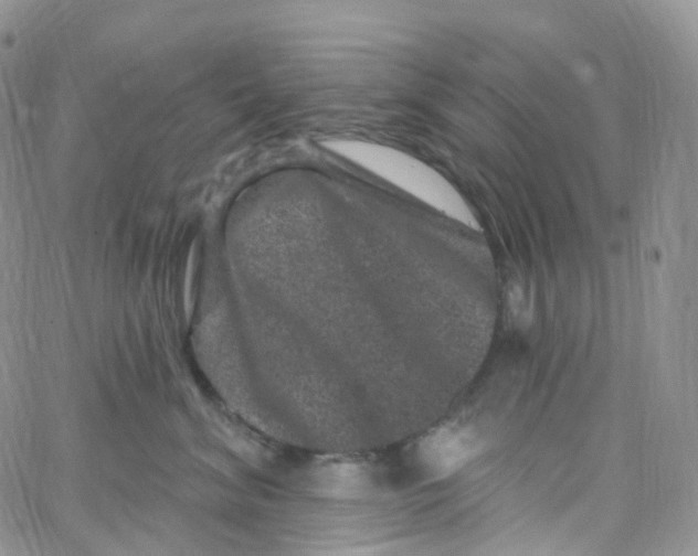 X0000065260620200603131204