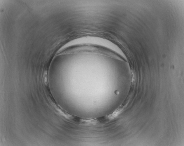 X0000065260621200603131204