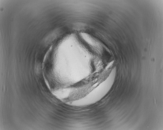 X0000065260623200603131204