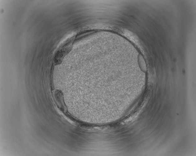 X0000065260625200603131203