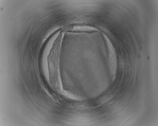 X0000065260626200603131203