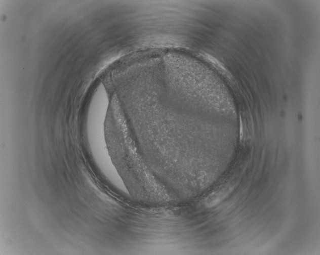 X0000065260627200603131203