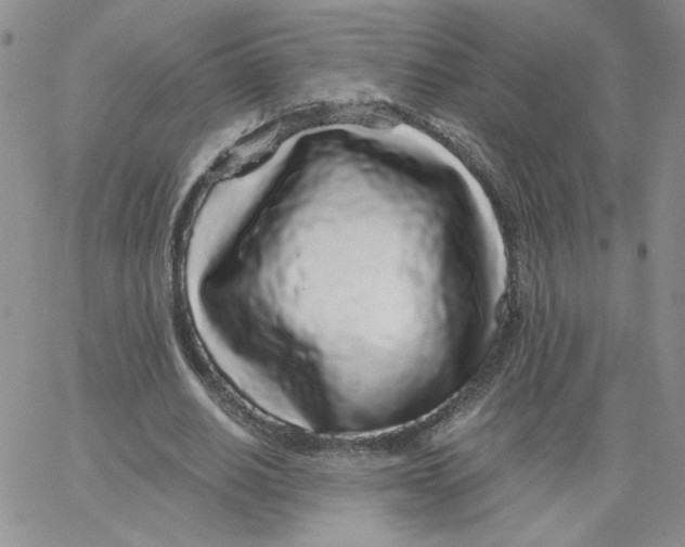 X0000065260630200603131203